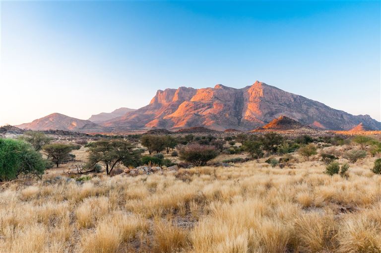 Etosha ©majonit/adobestock